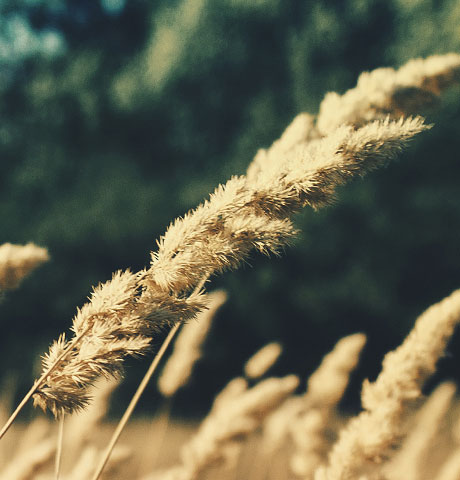 授权平台安全的呼死你试用